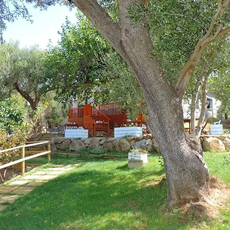 Mediterraneo Frühstückspension Palinuro